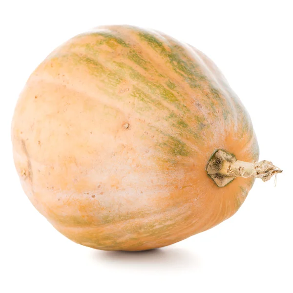 Calabash pumpkin — Stock Photo, Image