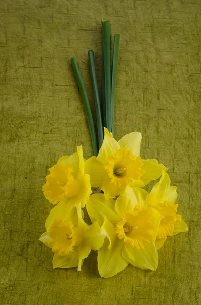 Jonquil flowers — Stock Photo, Image