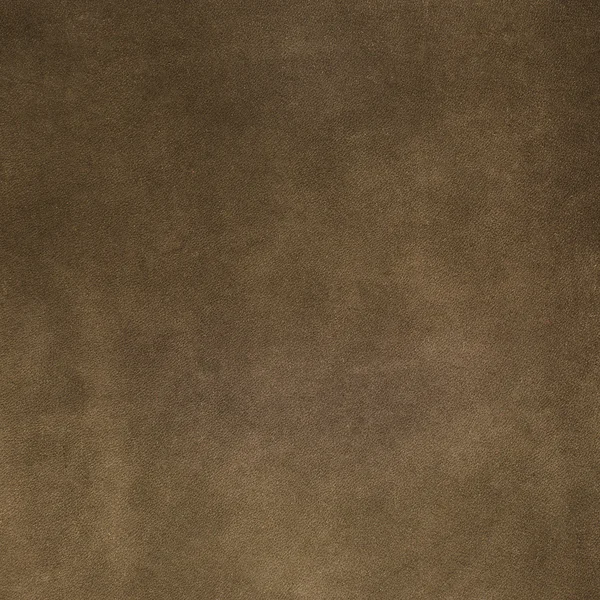 Camurça marrom — Fotografia de Stock