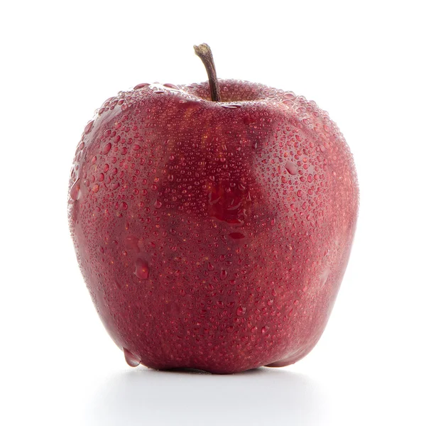 Rött äpple — Stockfoto