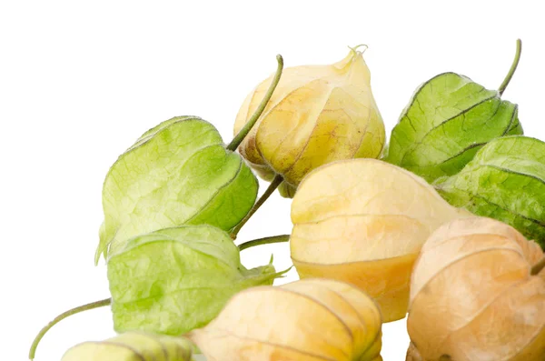 Fruta de Physalis — Foto de Stock