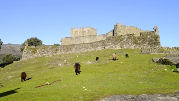 Castello di Lindoso — Video Stock