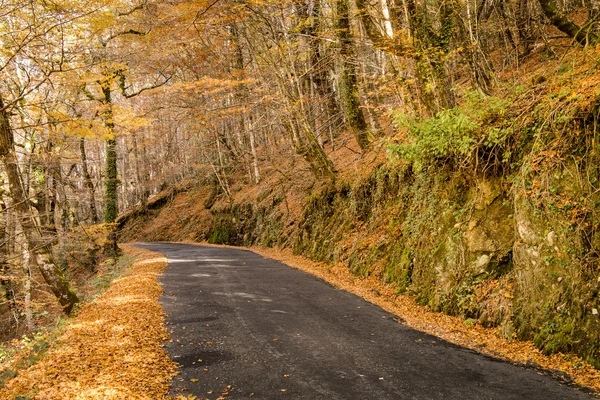 Otoño, Geres, Portugal — Foto de Stock