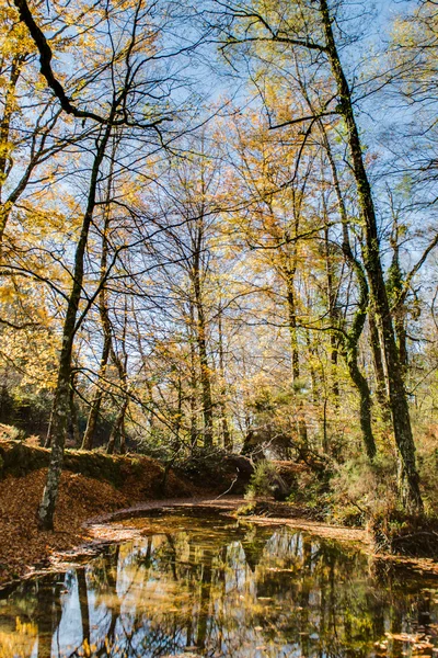 Vista de outono de parque nacional de geres — Fotografia de Stock