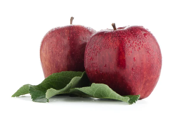 Ripe red apples — Stock Photo, Image