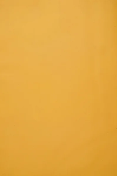 黄革 — 图库照片