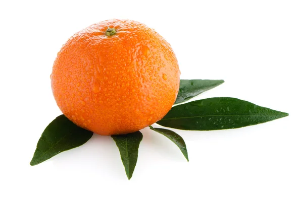 Свіжий апельсиновий Мандарин — стокове фото