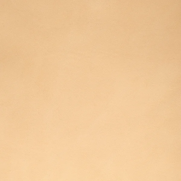 Pelle beige — Foto Stock