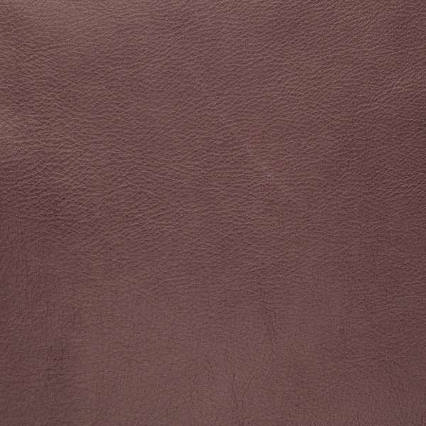 Purple leather — Stock Photo, Image