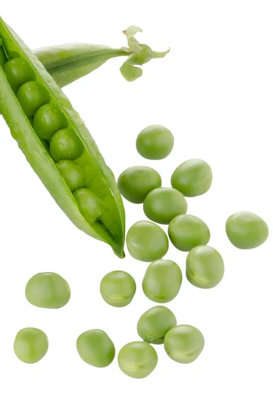 Fresh green pea pod — Stock Photo, Image