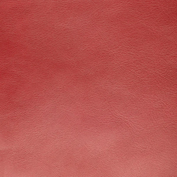 Red leather texture — Stock Photo, Image