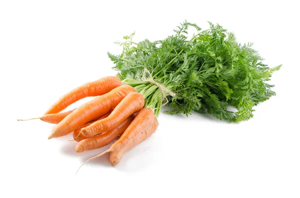 Carrots — Stock Photo, Image