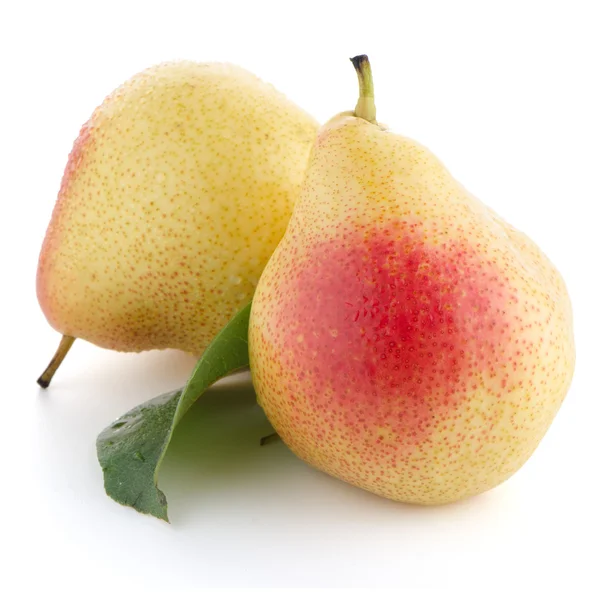 Two ripe pears — Stock Photo, Image