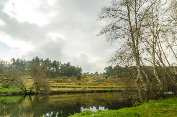 River in early autumn — Stock Photo, Image