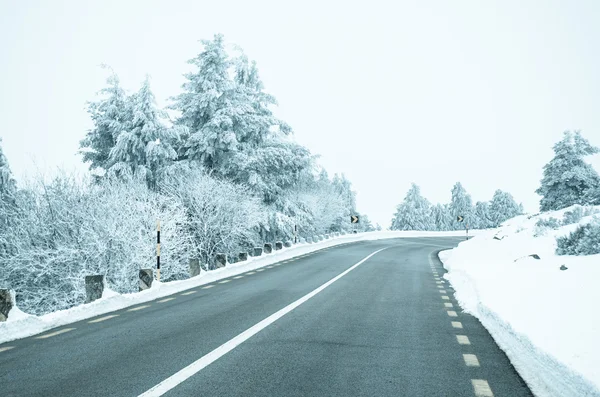 Snowy Road — Stock Photo, Image