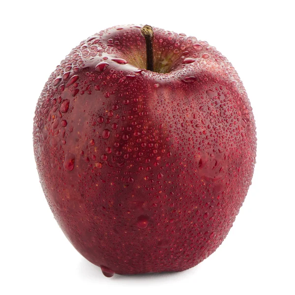 Manzana roja — Foto de Stock