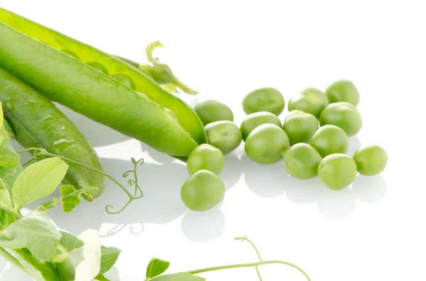 Verse groene erwt pod — Stockfoto