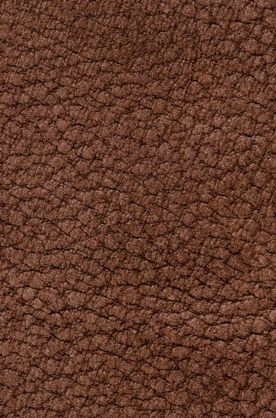 Cuero marrón natural — Foto de Stock