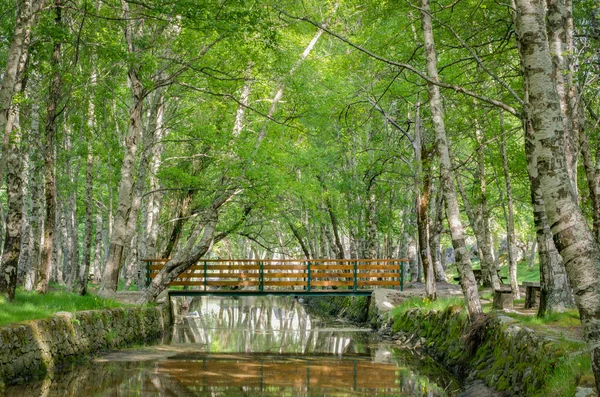公园自然 serra 南埃斯特雷-葡萄牙 — 图库照片