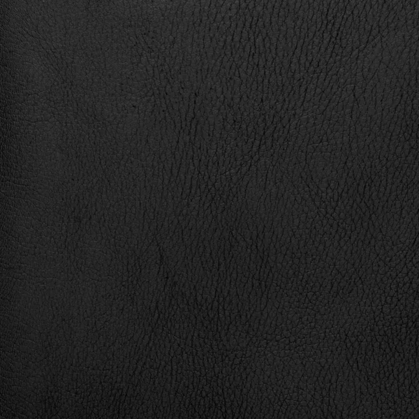 Textura de couro preto qualitativo natural. Fechar . — Fotografia de Stock