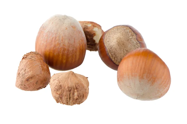 Tasty hazelnuts — Stock Photo, Image