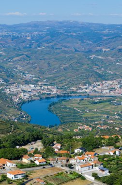 Douro Vadisindeki üzüm bağları
