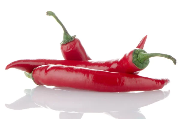 Červená pálivá paprika — Stock fotografie