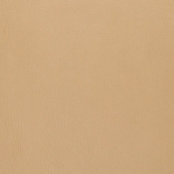 Beige läder — Stockfoto