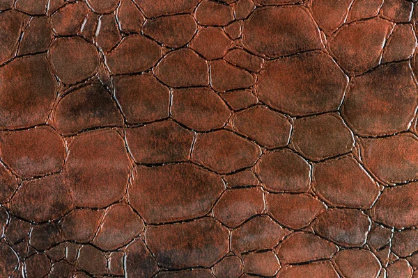 Текстура коричневої шкіри крупним планом — стокове фото