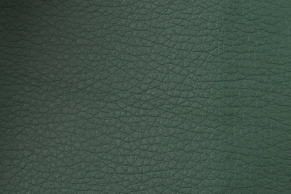 Texture cuir vert gros plan — Photo