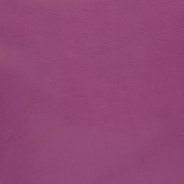 Pelle viola — Foto Stock