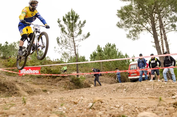 Joao Ribeiro — Stok fotoğraf