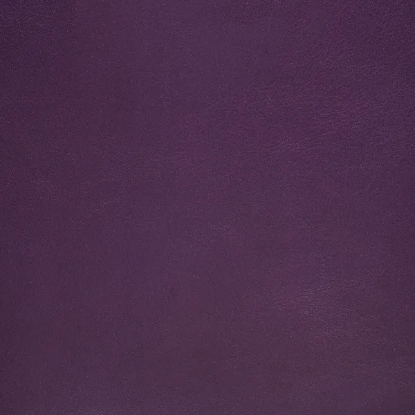 Cuero morado — Foto de Stock