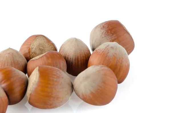 Fresh hazelnuts — Stock Photo, Image