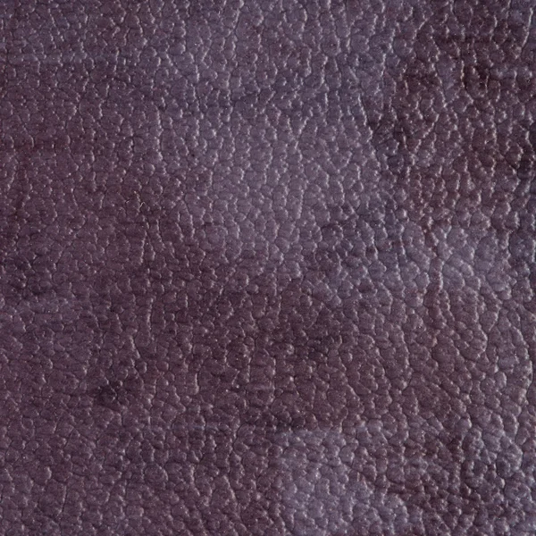紫色のビニールのテクスチャ — ストック写真