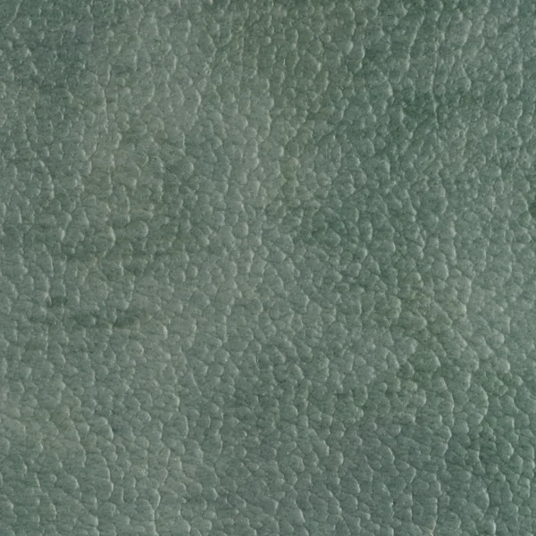 Texture vinyle vert — Photo