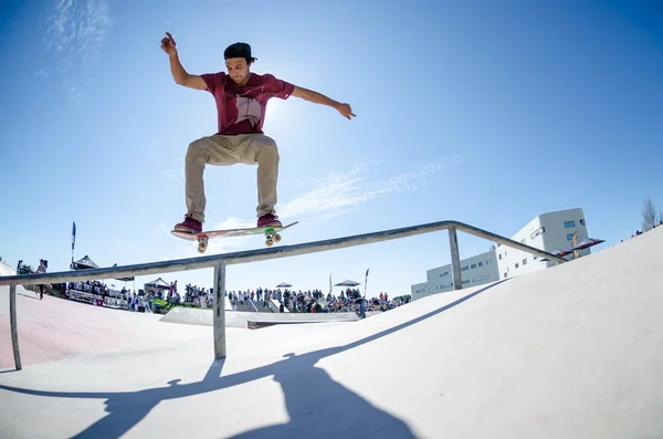 Pedro Roseiro — Foto de Stock