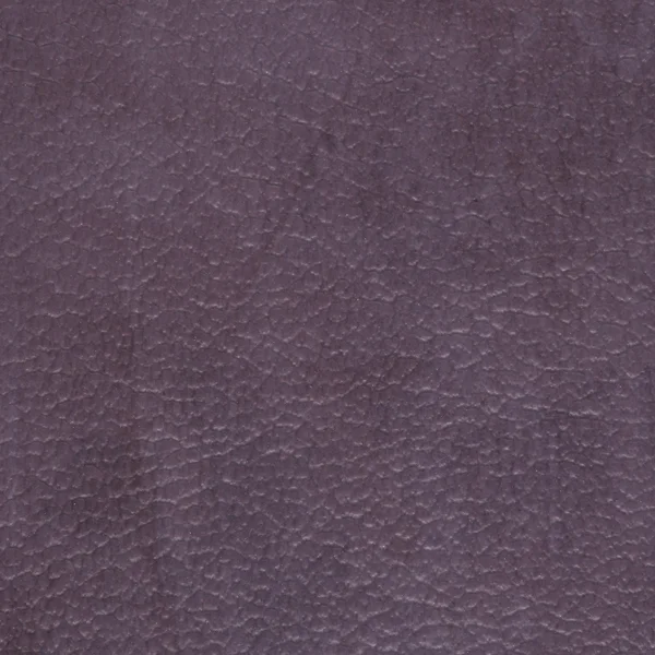 紫色的乙烯基纹理 — 图库照片
