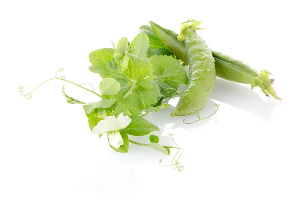 Verse groene erwt pod — Stockfoto