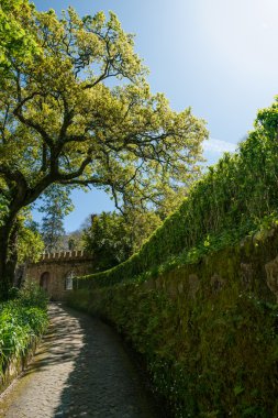 Quinta da regaleira, Portekiz