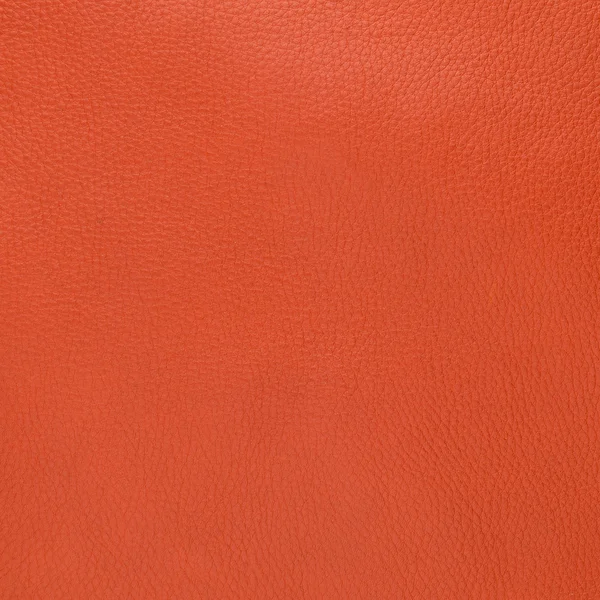 Red leather texture Stock Image