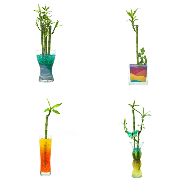 Set of four glass jars with bamboo — Stock Photo, Image