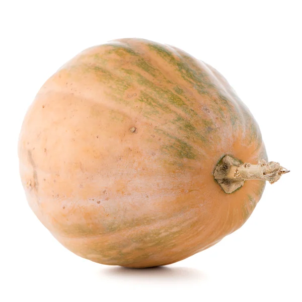 Zucca calabrese — Foto Stock