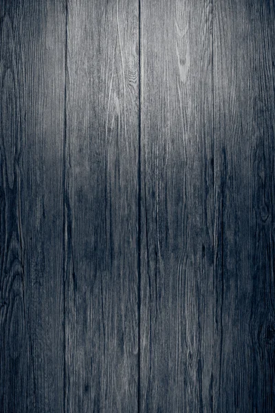 Тёмно-серый лес — стоковое фото