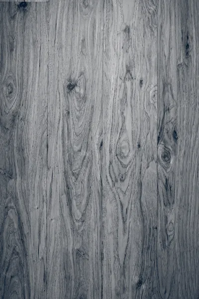 灰色の木 — ストック写真