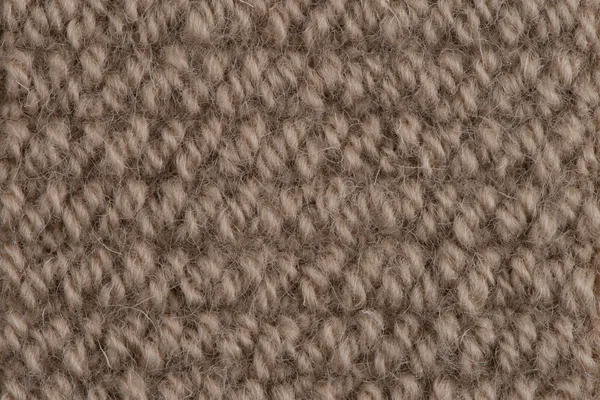 Hnědý koberec — Stock fotografie