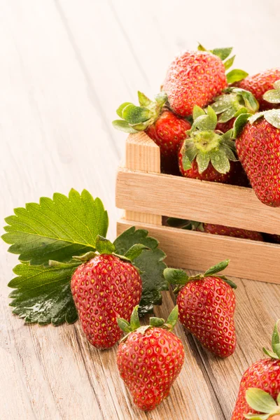 Strawberries — Stock Photo, Image