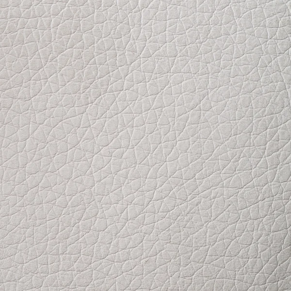 White leather texture — Stock Photo, Image