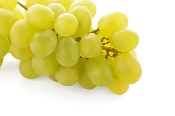 Green grapes — Stock Photo, Image