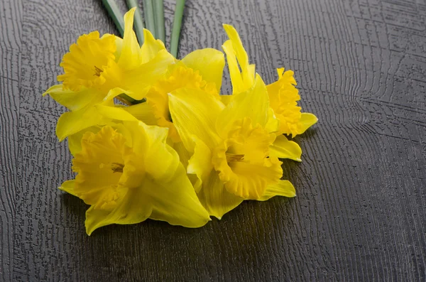 Yellow jonquil flowers — Stock Photo, Image